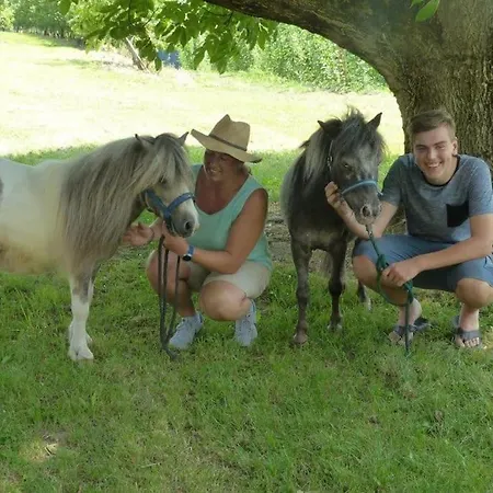 Gemuetliche Mit Terrasse In Der Naehe Vom Bodensee דירה