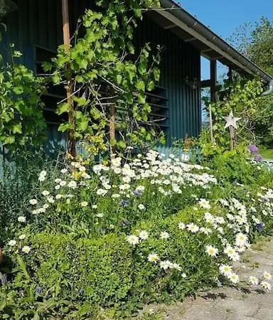 Gemuetliche Mit Terrasse In Der Naehe Vom Bodensee *